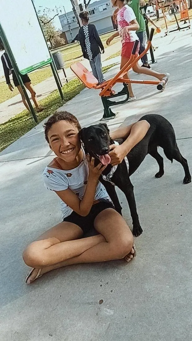 Cachorro raça SRD-ViraLata idade 1 ano nome Belinha