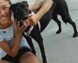 Belinha