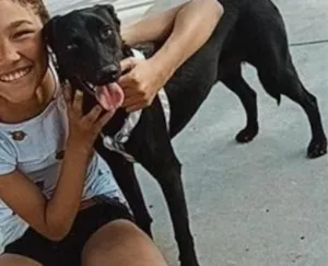 Cachorro raça SRD-ViraLata idade 1 ano nome Belinha