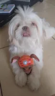Lucky