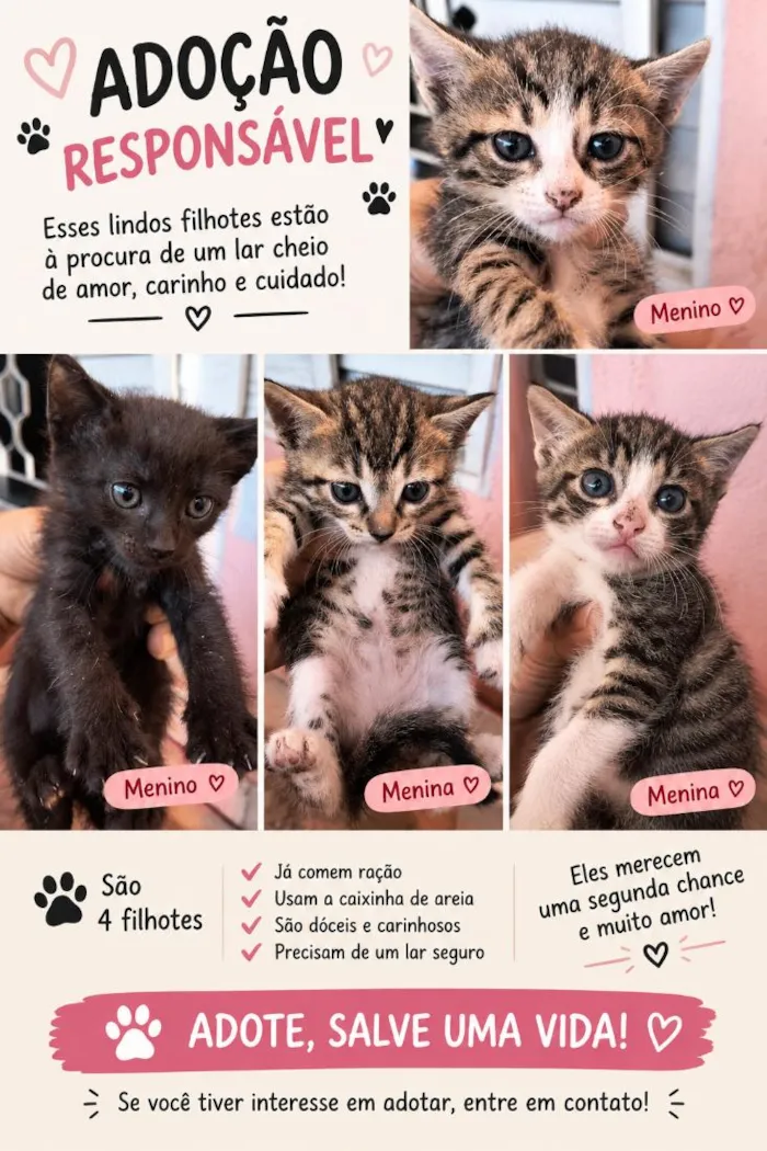 Gato raça SRD-ViraLata idade 2 a 6 meses nome sem nome 