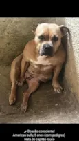 migga