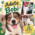 Bobi