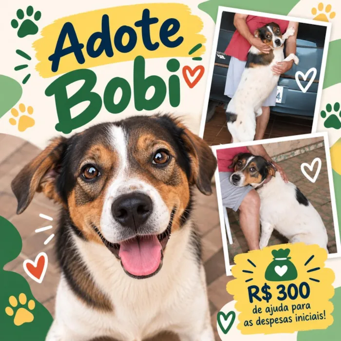 Cachorro raça SRD-ViraLata idade 3 anos nome Bobi