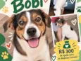 Bobi