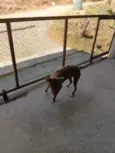 Maggie