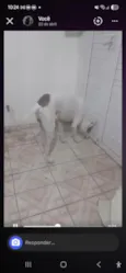 Apolo 