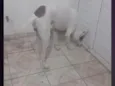 Apolo 