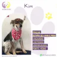 Kim