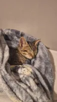 Mia