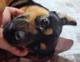 Lupita