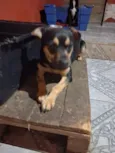 Lupita