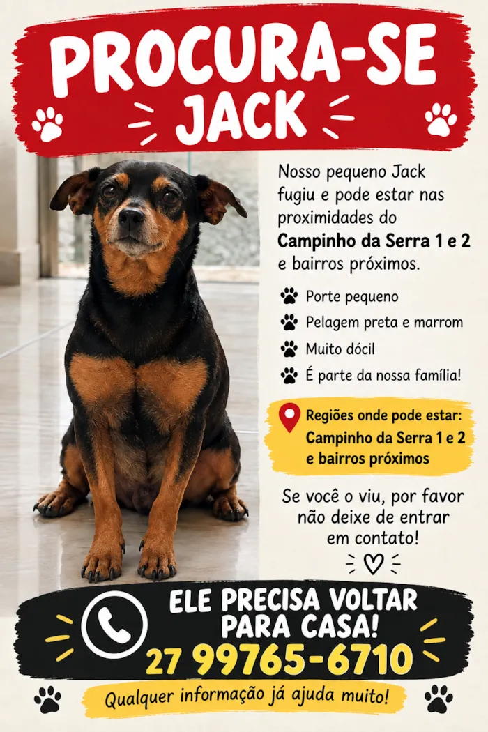 Cachorro raça SRD-ViraLata idade 6 ou mais anos nome Jack