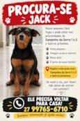 Jack