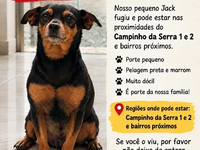Cachorro raça SRD-ViraLata idade 6 ou mais anos nome Jack