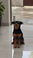Jack