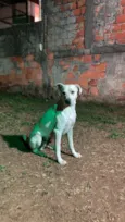 Neymarzinho