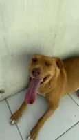 Mel