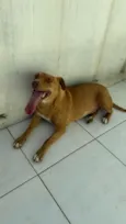 Mel