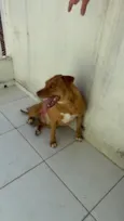 Mel