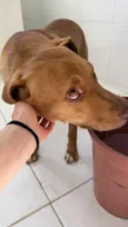 Mel