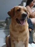 Kiara