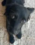 Lola