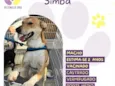Simba