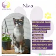 Nina