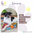 Serena