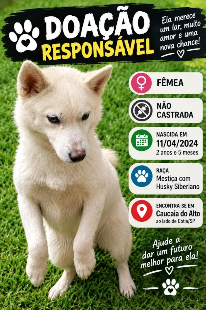 Cachorro raça SRD-ViraLata idade 2 anos nome Maia