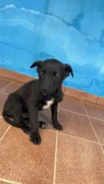 Ainda não tem nome 