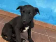 Ainda não tem nome 