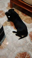 Spike 
