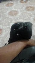 Spike 