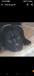 Spike 