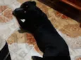 Spike 