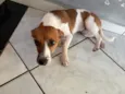 Zoe 