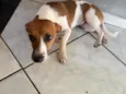 Zoe 
