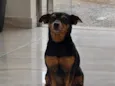 Jack