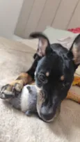 Pitico