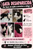 Kitty