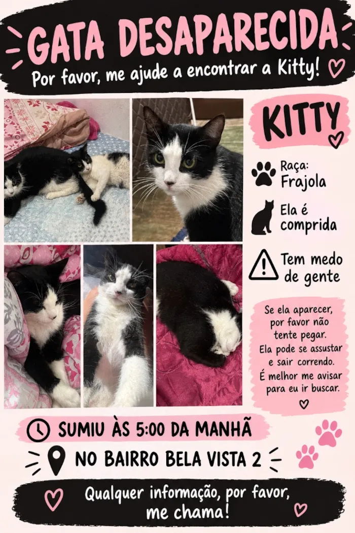 Gato raça SRD-ViraLata idade 1 ano nome Kitty