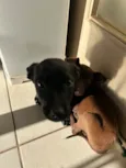 neguinho e lala