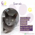 Sarah