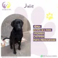 Julie