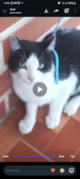Guinho