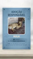 Hulk