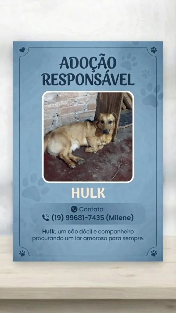 Cachorro raça SRD-ViraLata idade 2 anos nome Hulk