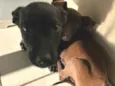 neguinho e lala